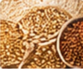 Grains and cereals