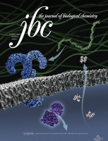 Journal of Biological Chemistry cover