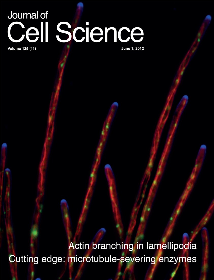 Journal of Cell Science cover, Volume 125, Issue 11, June 2012